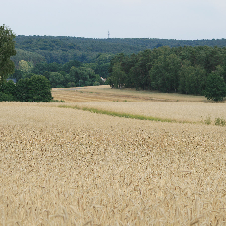 Umgebung