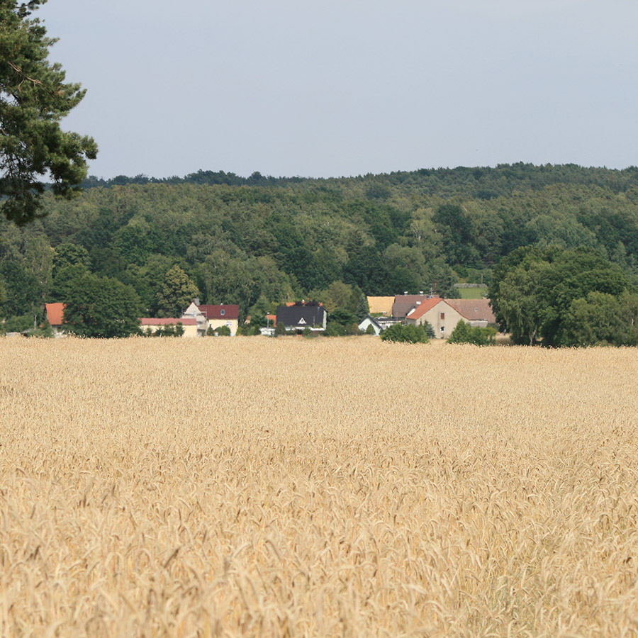 Umgebung