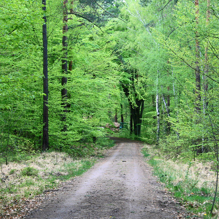 Umgebung